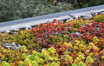 the cost of Great Wilbraham green roof installation