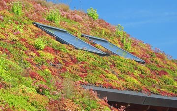 Great Wilbraham living roof systems
