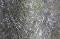 Great Wilbraham fibreglass roof work